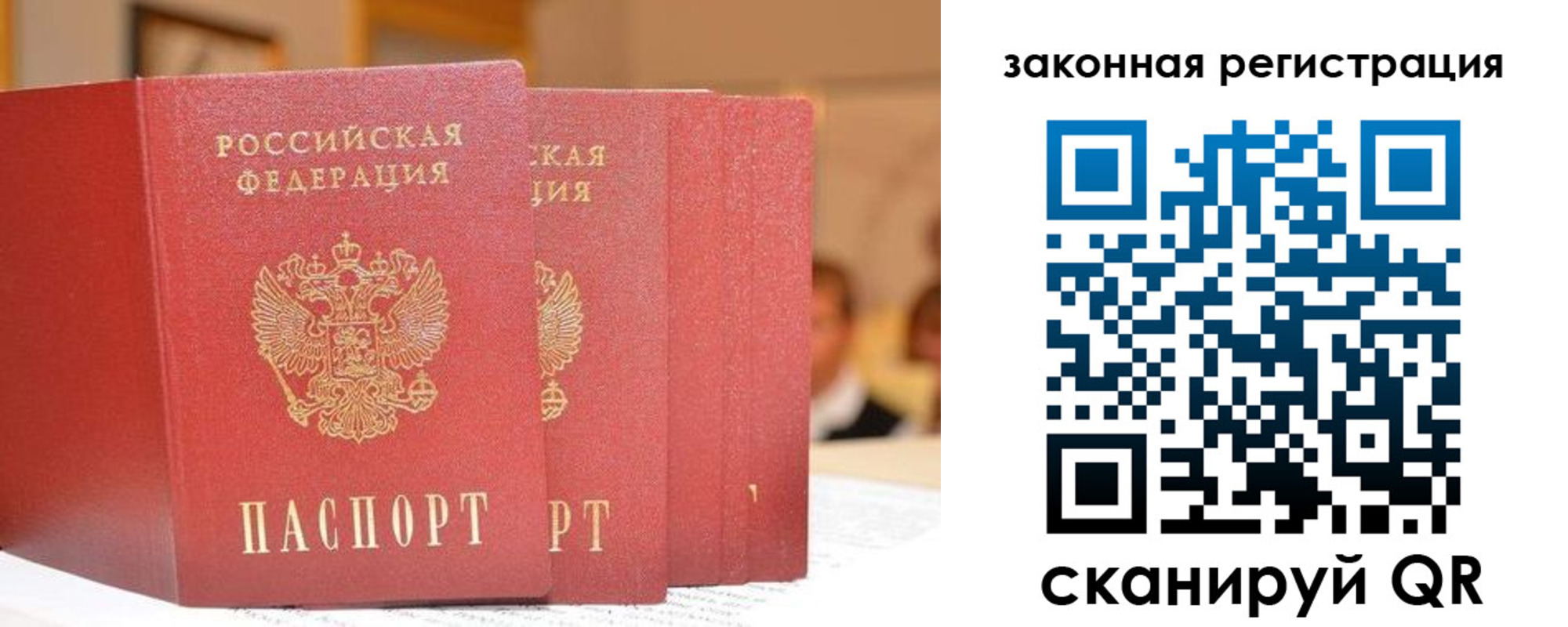 прописка поиск в Цимлянске